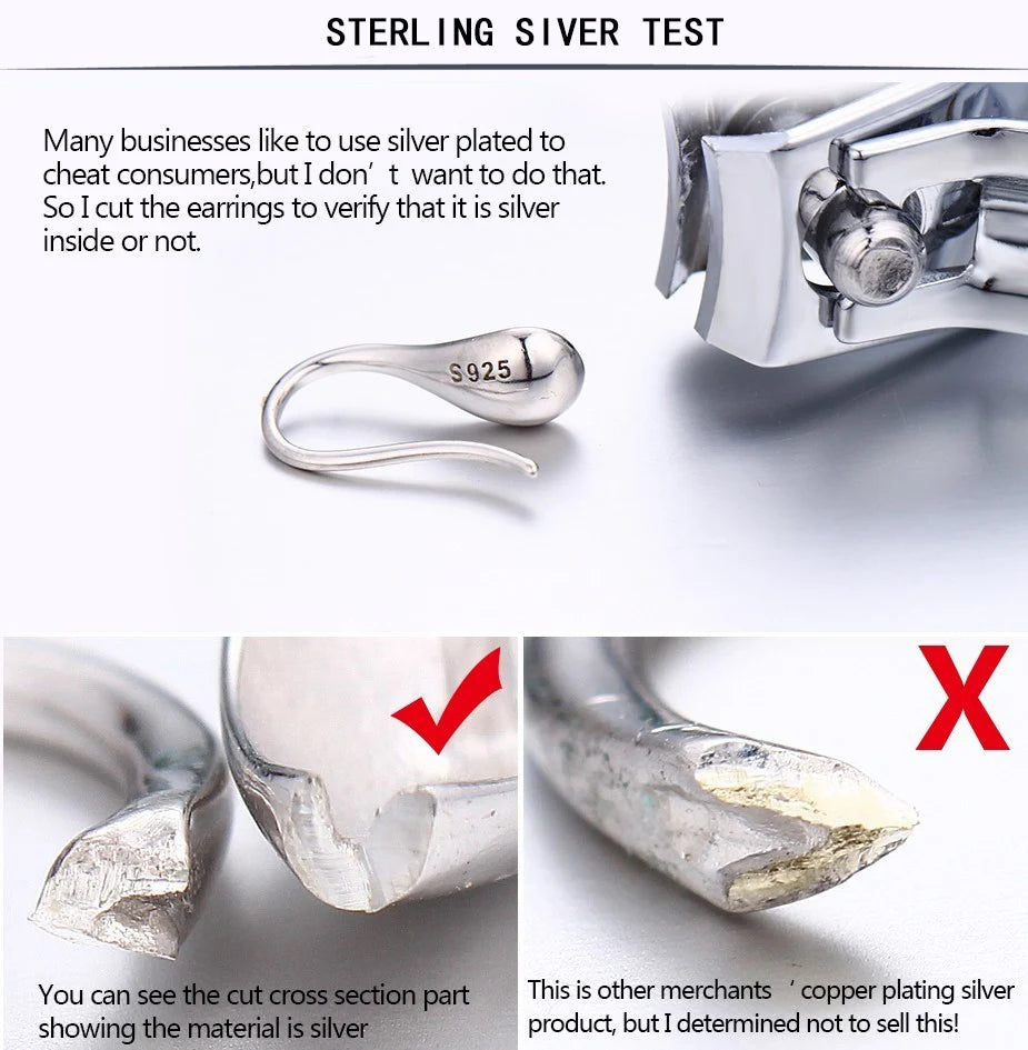 BF CLUB 925 Sterling Silver Sparckling Earrings For Women Trendy Earring Jewelry Prevent Allergy Party Accessories Gift