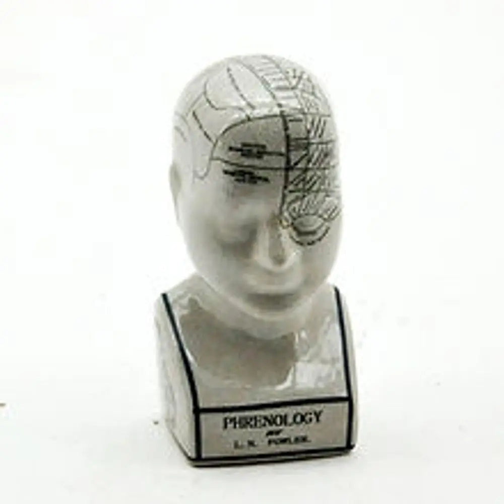 8" PHRENOLOGY HEAD - Image #1