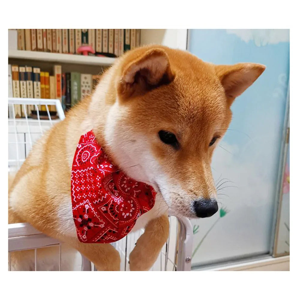 Dog Collar Bandana Scarf Collar Adjustable Dog Bandanas Collar Puppy Cat Neckerchief Pet Accessories for Small Medium Large Dogs