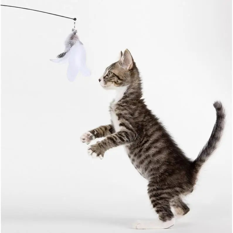 Cat Toys Interactive Cat Toy Steel Wire Feather Toys for Cats Stick Suction Cup Feather Cats Toy with Bell Teaser Pet Products