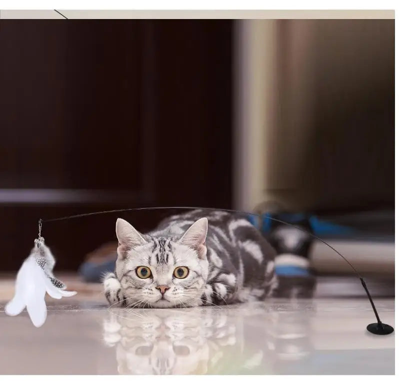 Cat Toys Interactive Cat Toy Steel Wire Feather Toys for Cats Stick Suction Cup Feather Cats Toy with Bell Teaser Pet Products