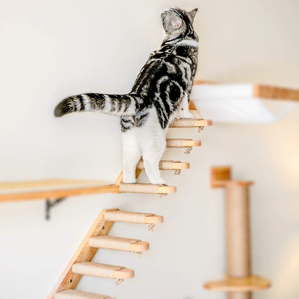 Cat Climbing Stairs Wall Mounted Steps Made of Wood and Sisal Rope Scratching Ladder Pet Furniture for Indoor Cats Playing Sleep