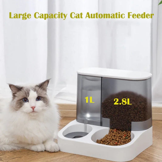 White automatic feeder with transparent water chamber and separate kibble hopper