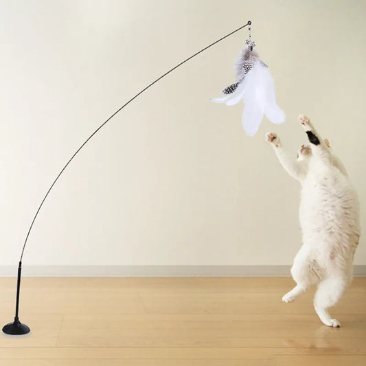 Cat playing with interactive feather teaser toy on a wire line and suction-cup base
