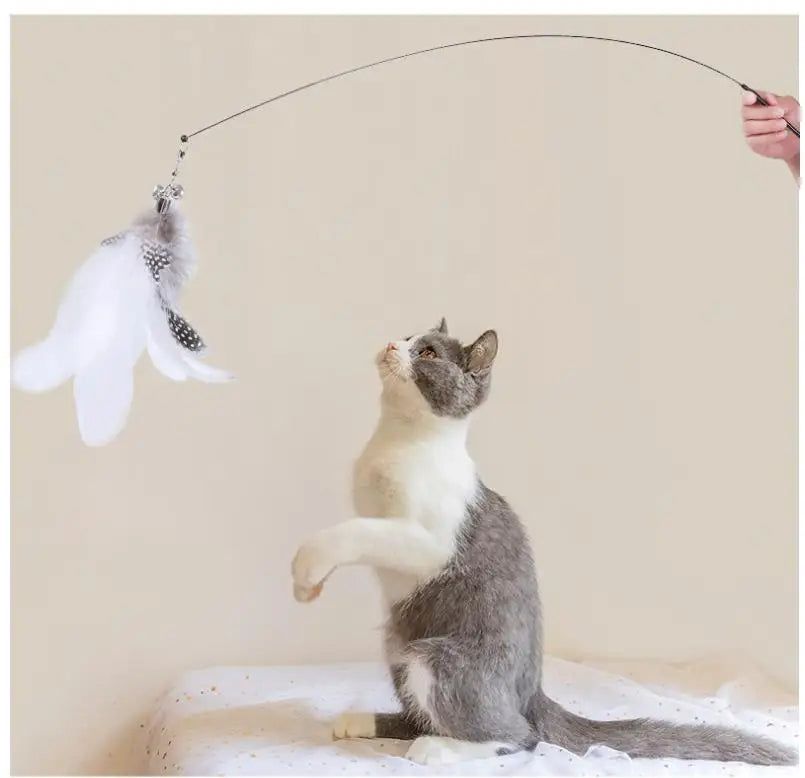 Cat Toys Interactive Cat Toy Steel Wire Feather Toys for Cats Stick Suction Cup Feather Cats Toy with Bell Teaser Pet Products