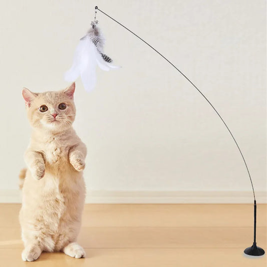 Cat standing with interactive white feather teaser toy on a wire line and suction base