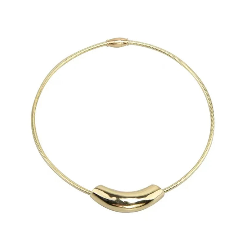 French Retro Design Metal Tube Snake Bone Chain Collar For Women's Exaggerated Stainless Steel Necklace Girls' Colorless Jewelry