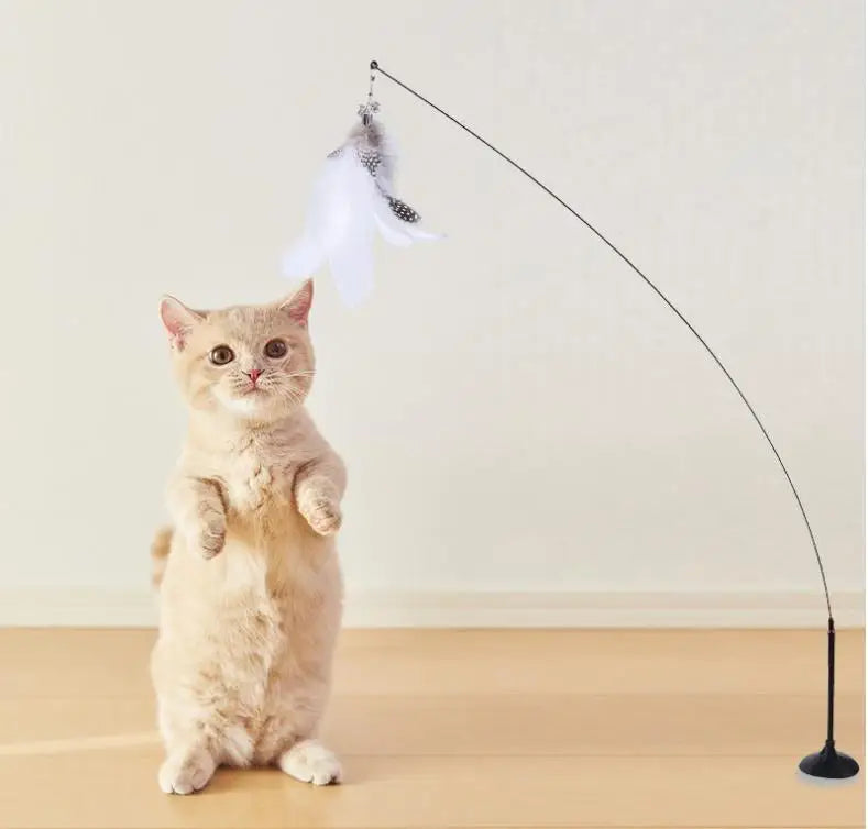 Cat Toys Interactive Cat Toy Steel Wire Feather Toys for Cats Stick Suction Cup Feather Cats Toy with Bell Teaser Pet Products