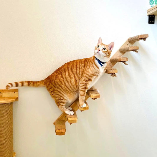 Wall-mounted cat climbing stairs with wood steps and sisal rope scratching pads