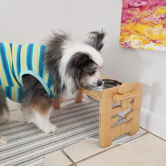 Adjustable wooden raised pet bowl stand with two stainless steel bowls, light wood.