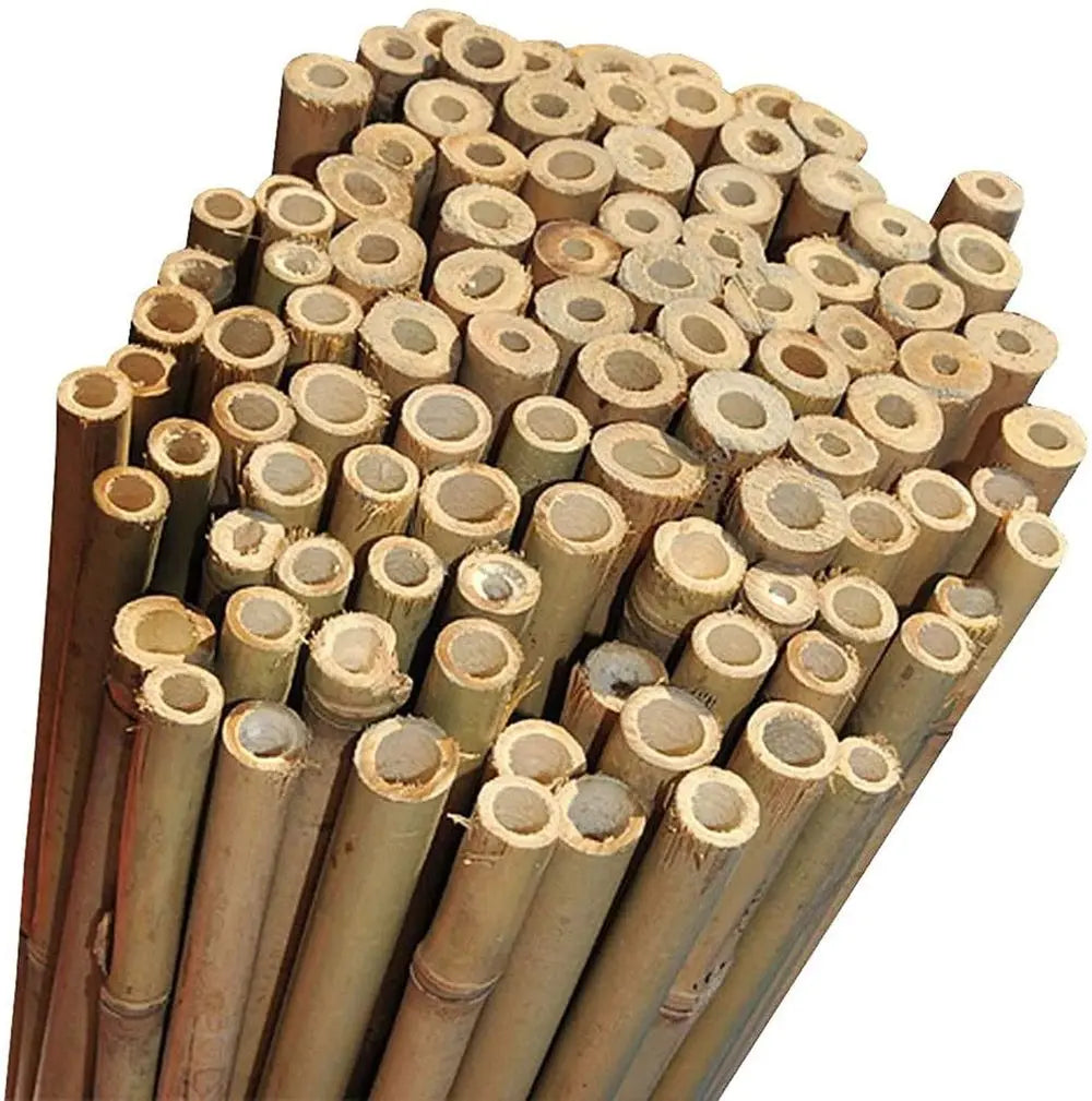 100 x 2ft (60cm) Bamboo canes - Image #7