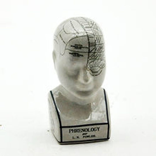 8" PHRENOLOGY HEAD