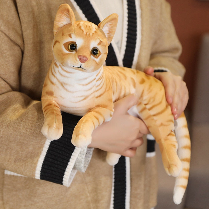 Realistic Cat Plush toy  Lastricks | London.