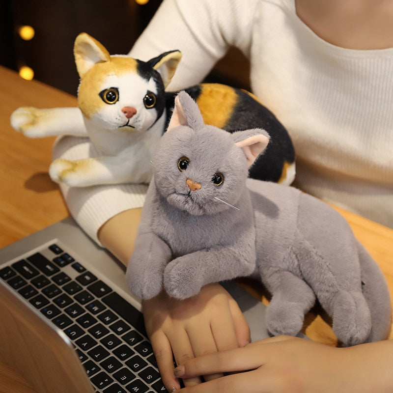 Realistic Cat Plush toy  Lastricks | London.